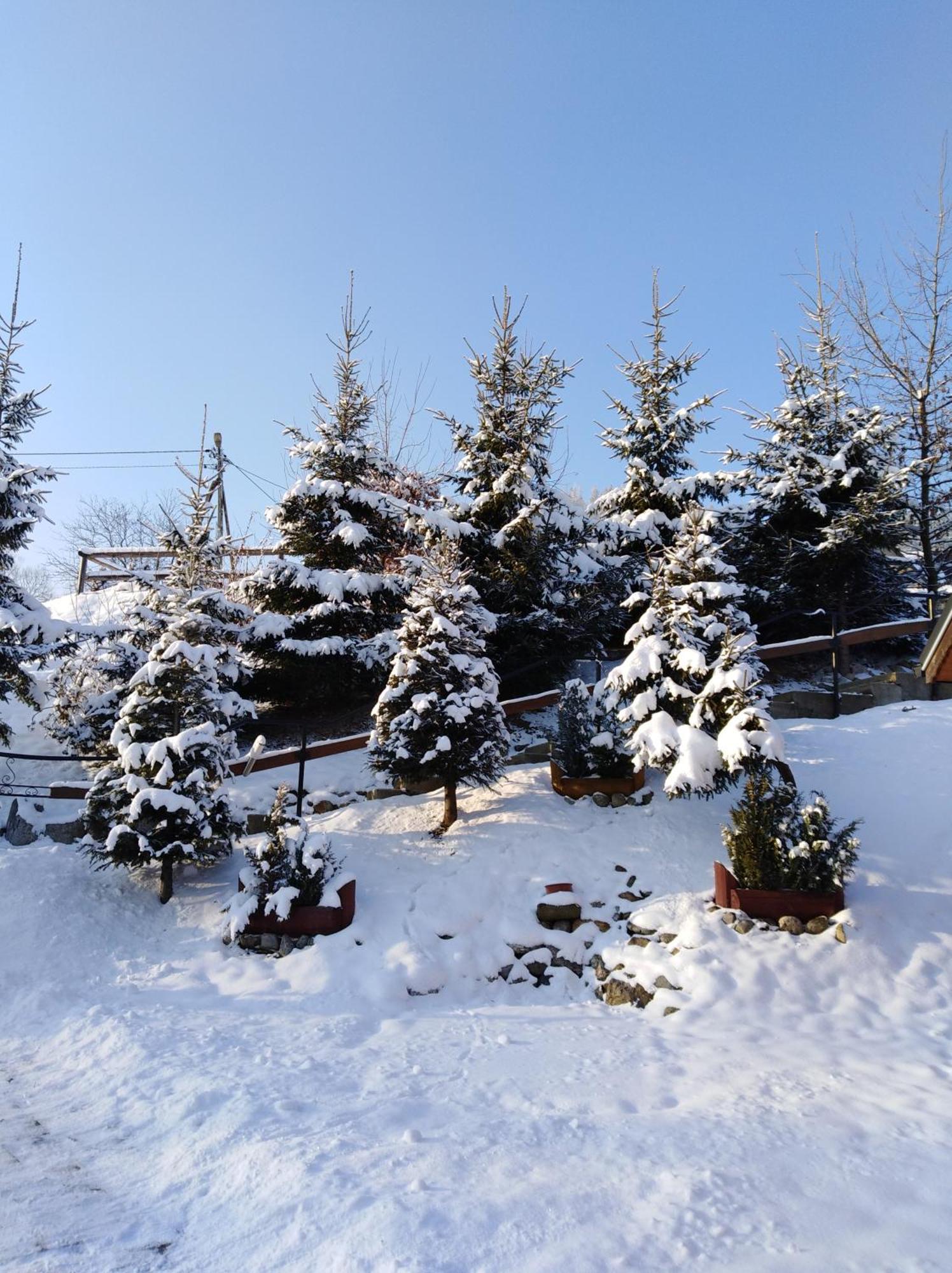 Inksy Domek Harenda Zakopane Bagian luar foto