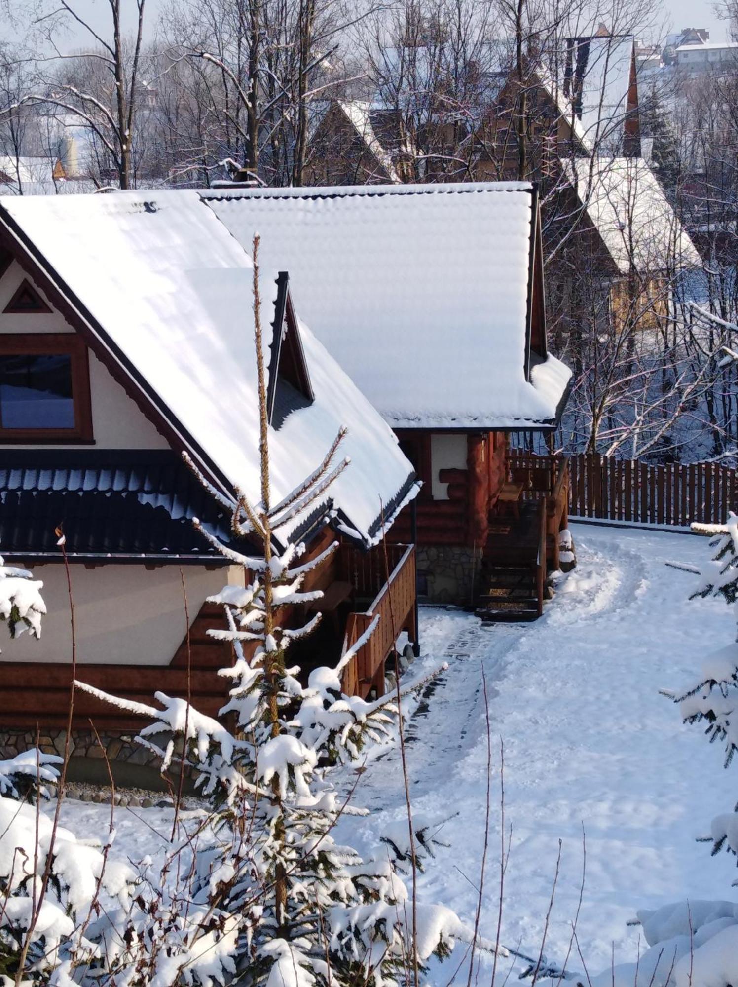 Inksy Domek Harenda Zakopane Bagian luar foto